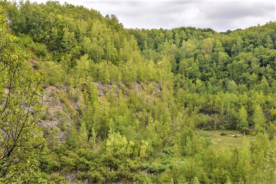 korrastatud kaevandusala